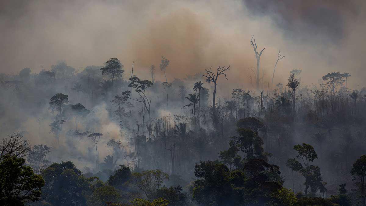 Лісові пожежі в Бразилії наближають кліматичний апокаліпсис